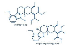 Chemical structure of mitragynine and 7-hydroxymitragynine. Image courtesy of the NIDA